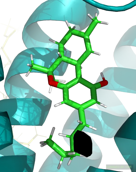 Close PyMOL view of green THC inside the CB1R orthosteric binding pocket, among cyan receptor helices