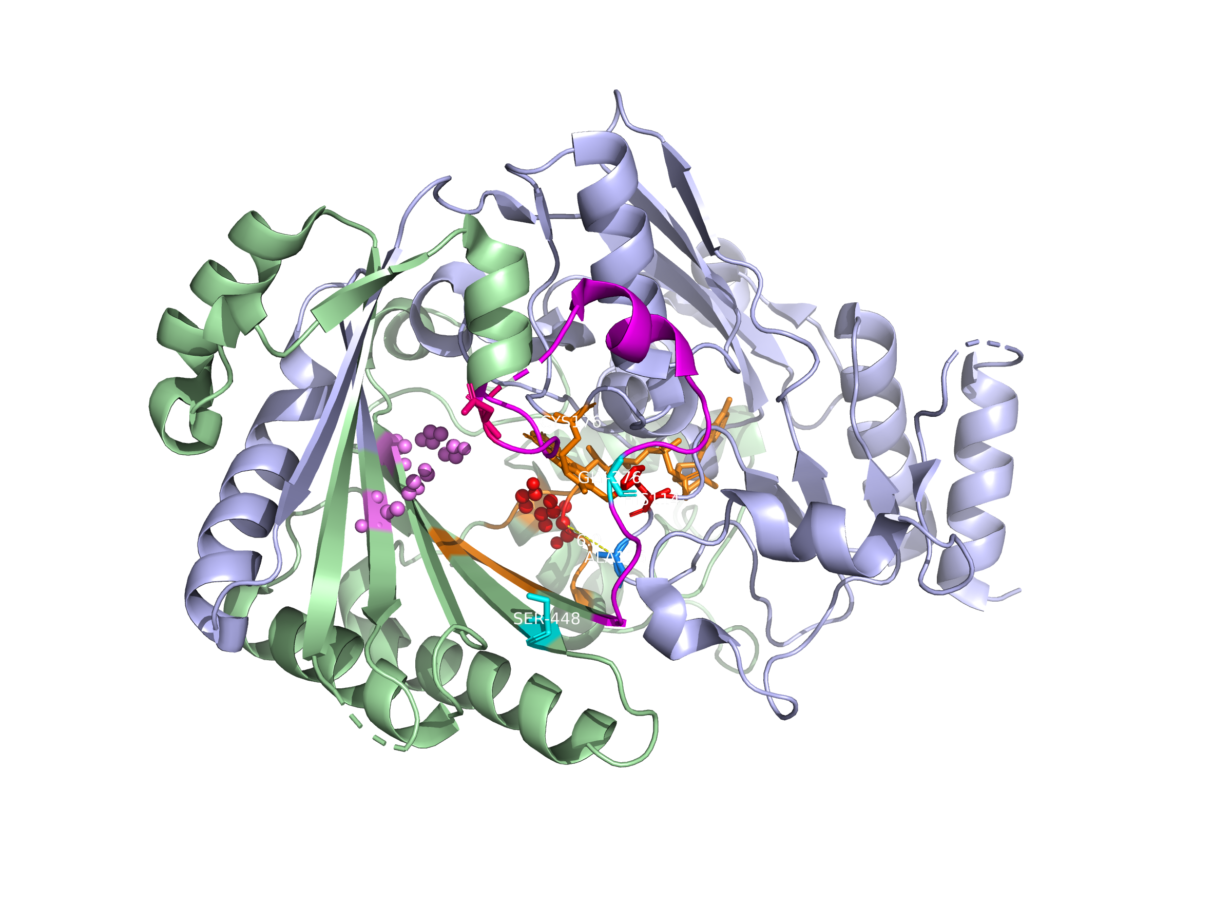 Visualizacao estrutural da THCA sintase 3VTE